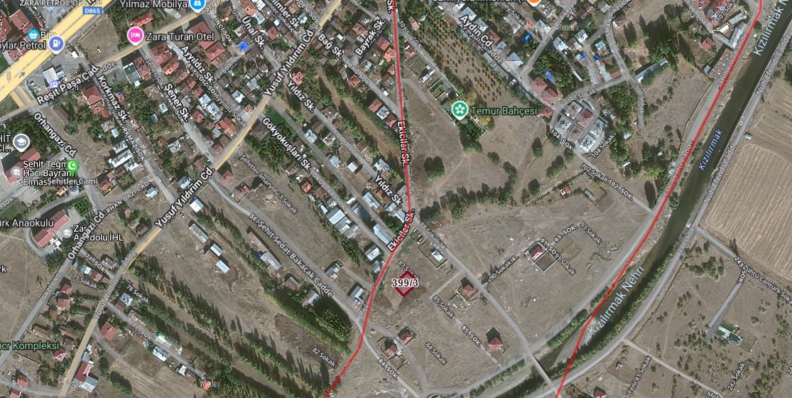 Fotoğraf